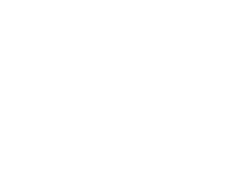 VASP_Premium_V_RGB_Branco_72-0-0.png